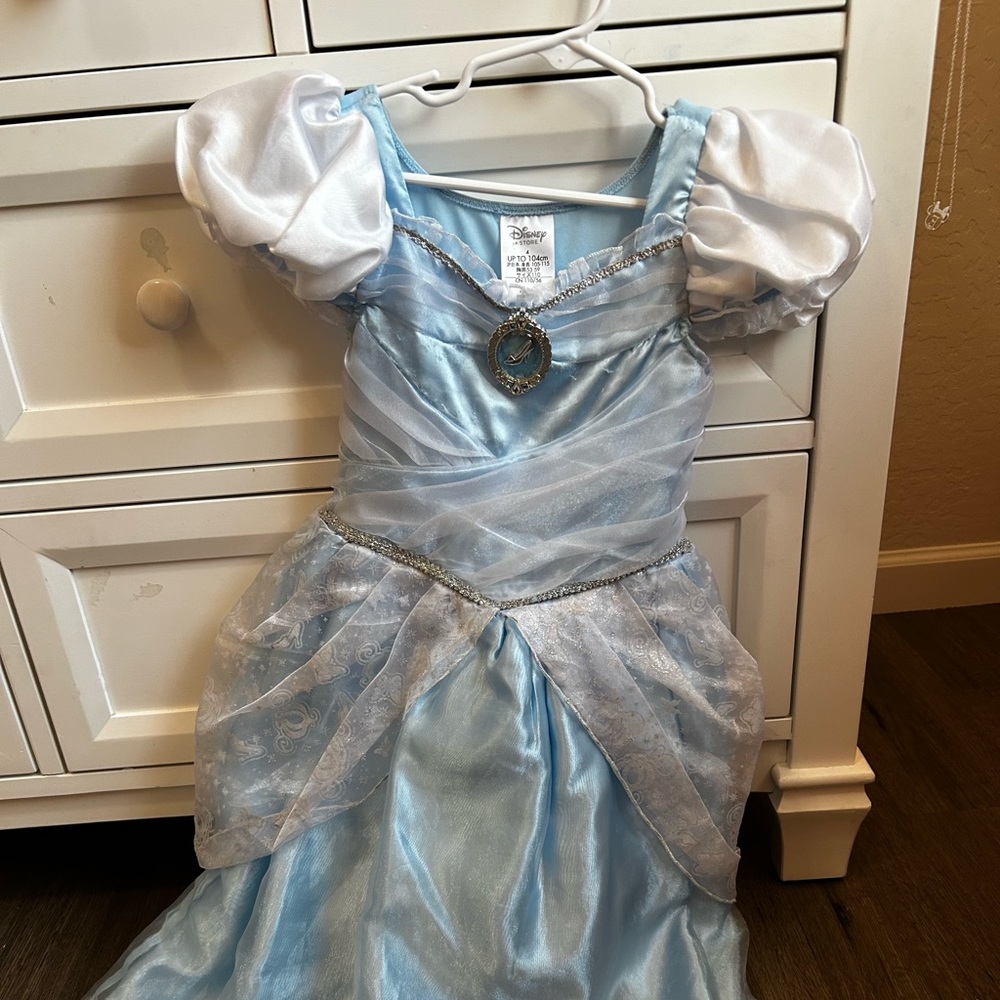 Disney Cinderella dress